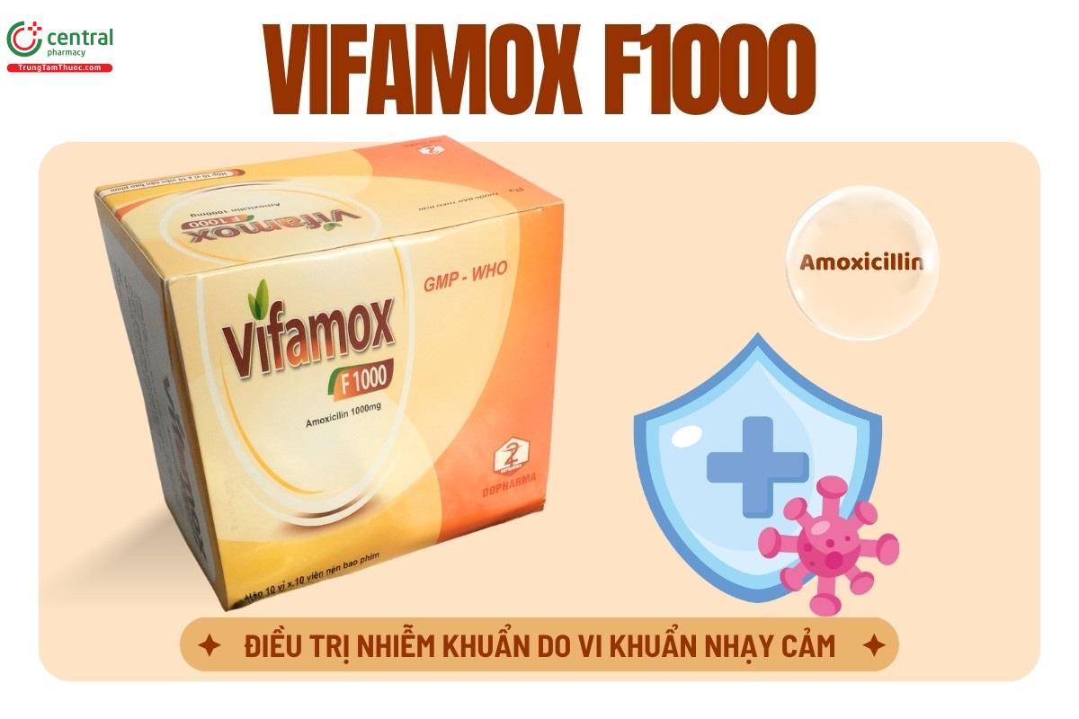 Chỉ định của thuốc Vifamox F1000