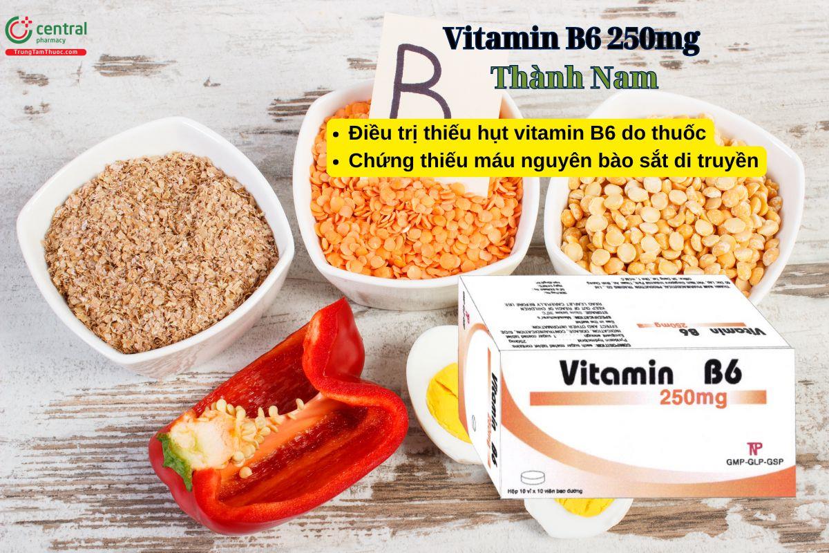 Thuốc Vitamin B6 250mg Thành Nam - Điều trị thiếu hụt vitamin B6 do thuốc
