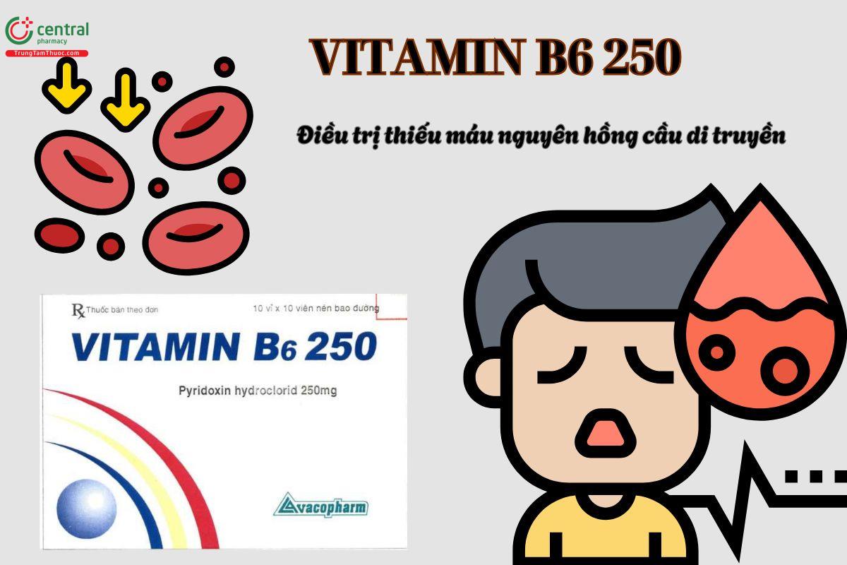 Thuốc Vitamin B6 250mg Vacopharm điều trị thiếu hụt Vitamin b6