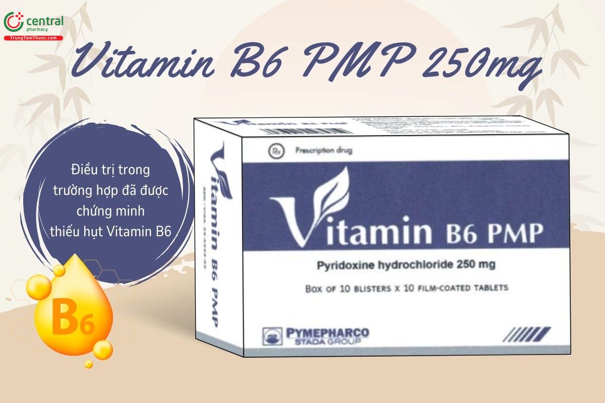 Chỉ định của thuốc Vitamin B6 PMP 250mg