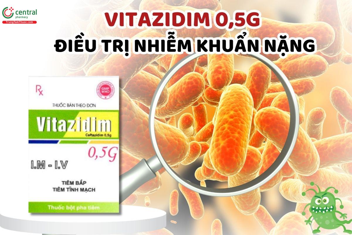 Thuốc Vitazidim 0,5g điều trị nhiễm khuẩn nặng