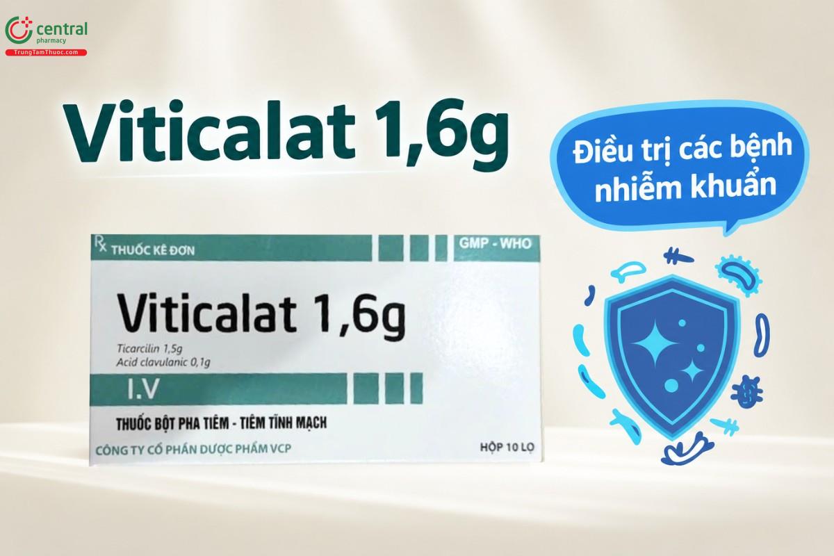 Chỉ định của thuốc Viticalat 1,6g