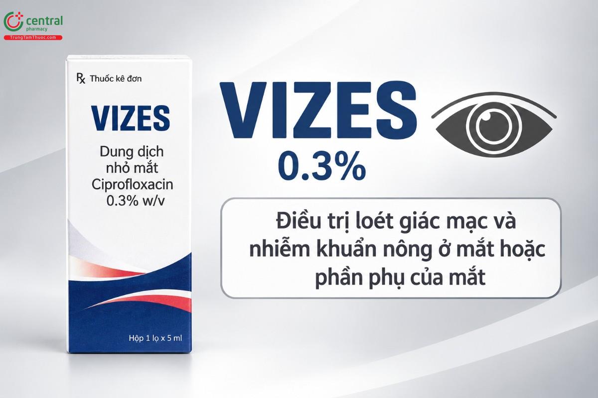 Chỉ định của thuốc Vizes 0.3%