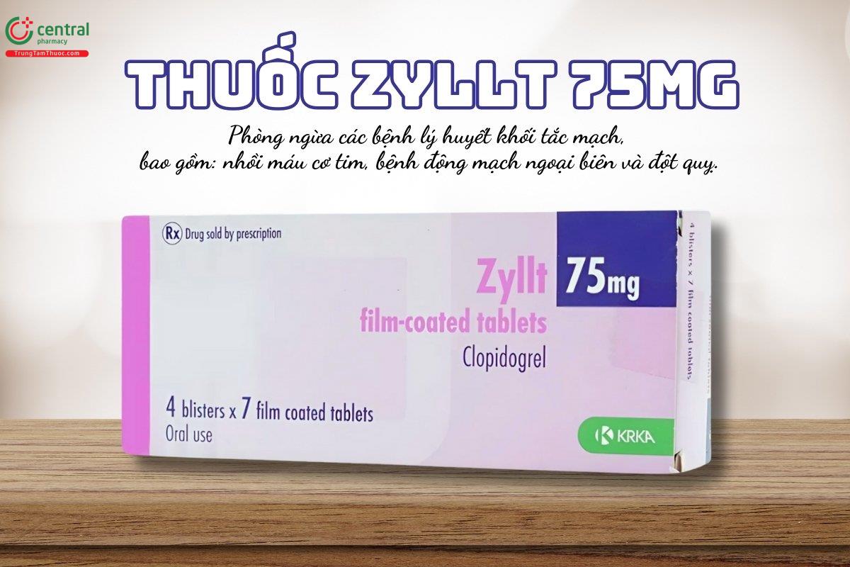 Thuốc Zyllt 75mg phòng ngừa các bệnh lý huyết khối tắc mạch