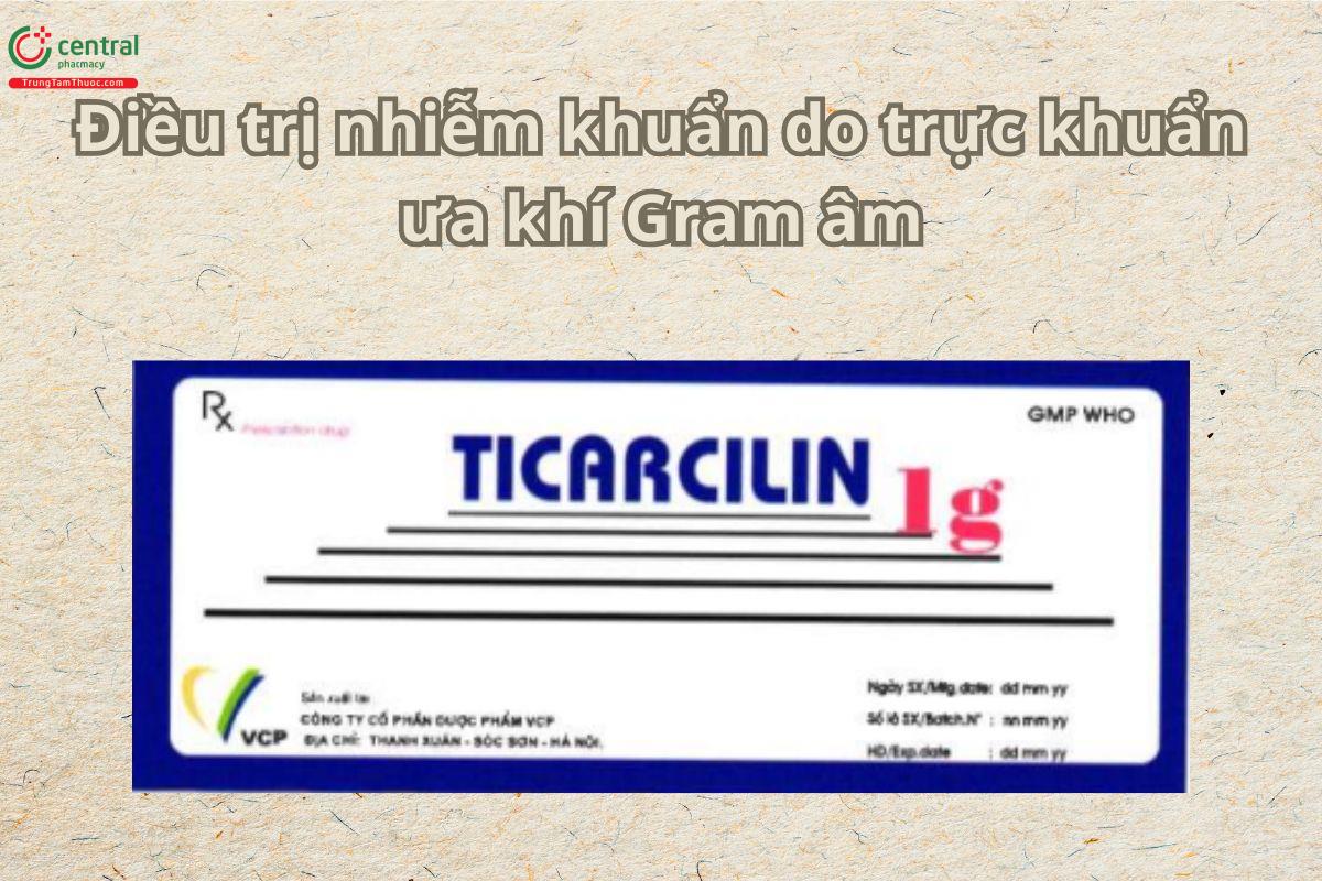 Thuốc Ticarcilin 1g VCP điều trị nhiễm khuẩn huyết, nhiễm khuẩn sau bỏng