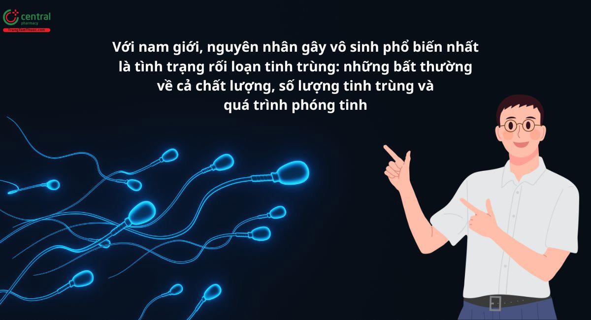 Rối loạn tinh trùng ở nam giới