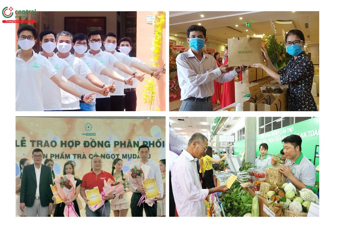 Các hoạt động Công ty Cổ phần TNB Việt Nam