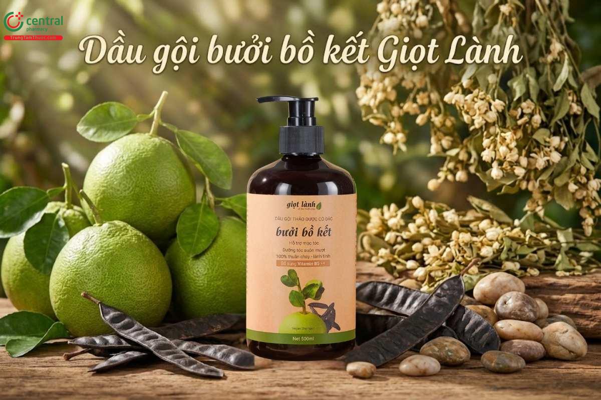 Dầu gội bưởi bồ kết Giọt Lành