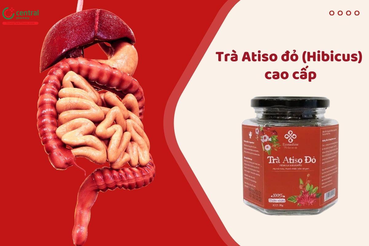 Trà Atiso đỏ Hibiscus Econashine (Lọ thuỷ tinh) hỗ trợ tăng cường tiêu hóa khỏe