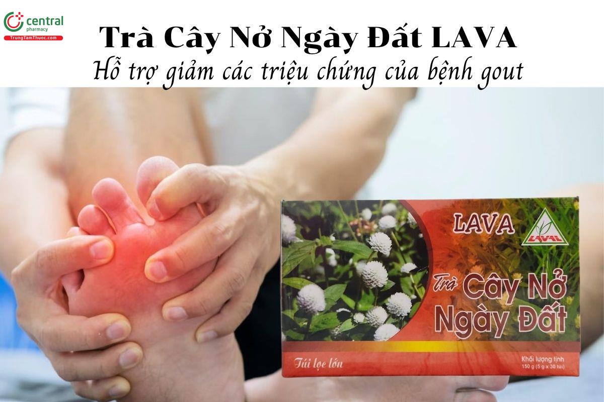 Trà Cây Nở Ngày Đất LAVA - Hỗ trợ giảm các triệu chứng của bệnh gout