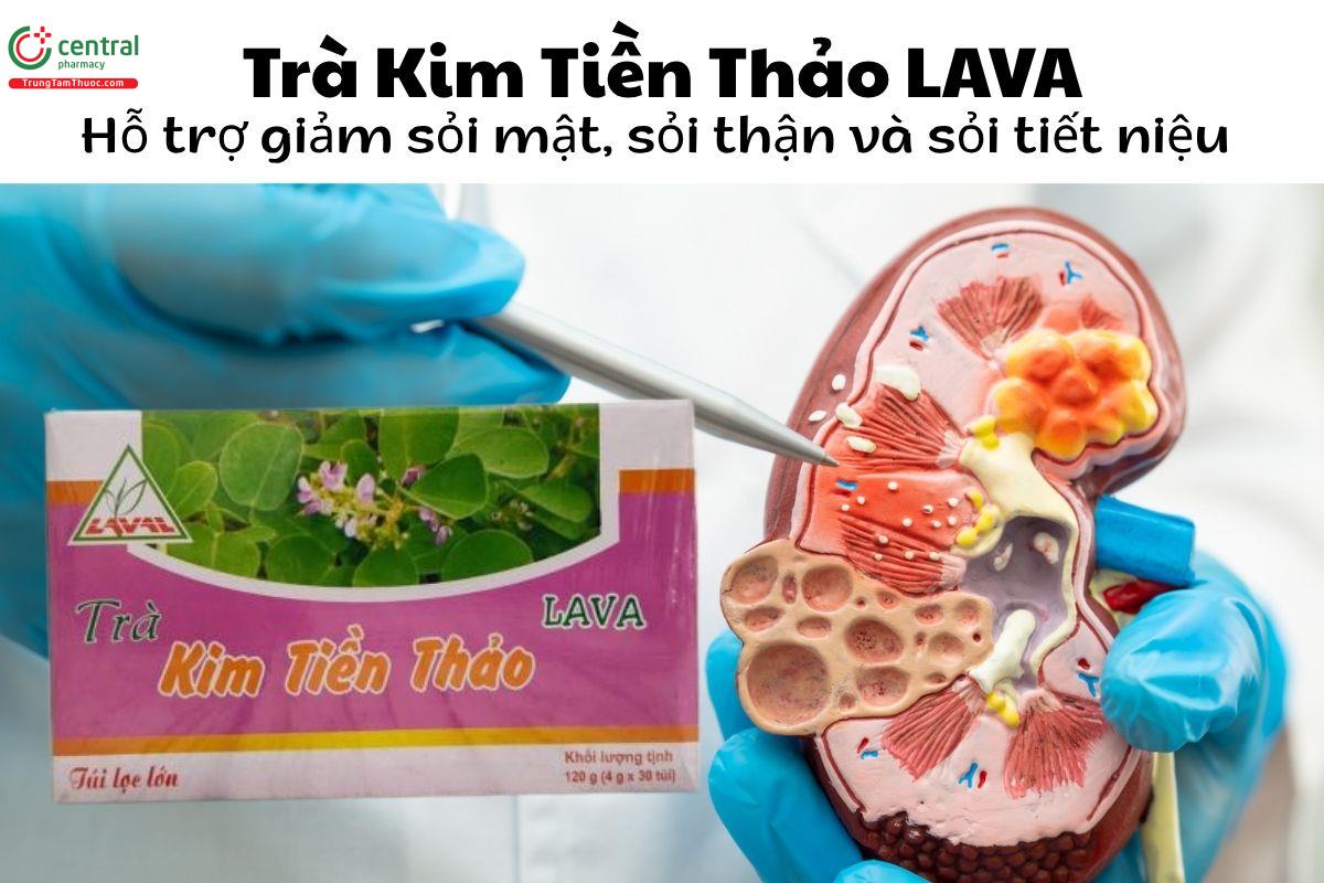 Trà Kim Tiền Thảo LAVA - Hỗ trợ giảm sỏi mật, sỏi thận và sỏi tiết niệu