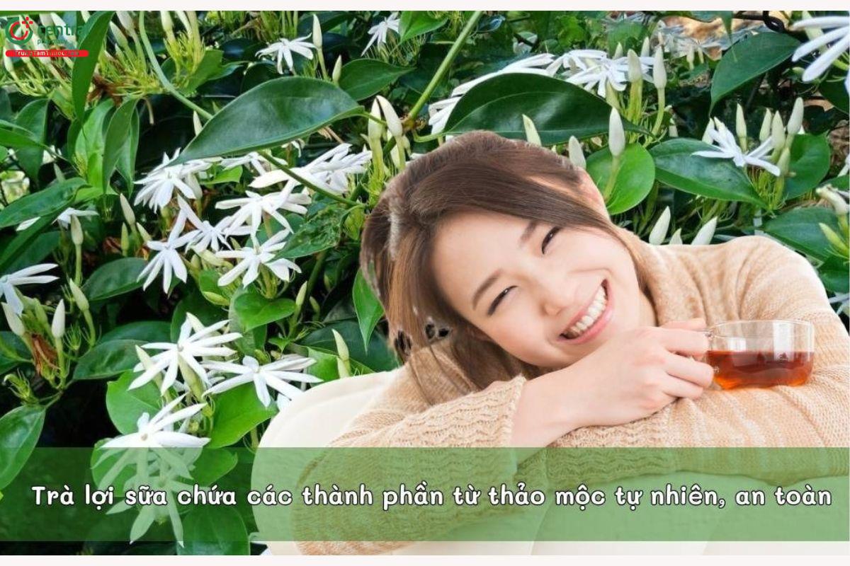 Trà lợi sữa với thành phần thảo mộc thiên nhiên