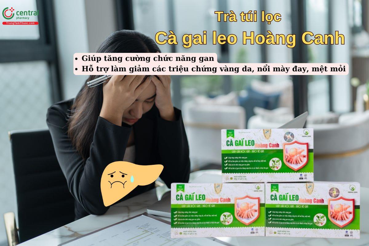 Trà túi lọc Cà gai leo Hoàng Canh giúp tăng cường chức năng gan
