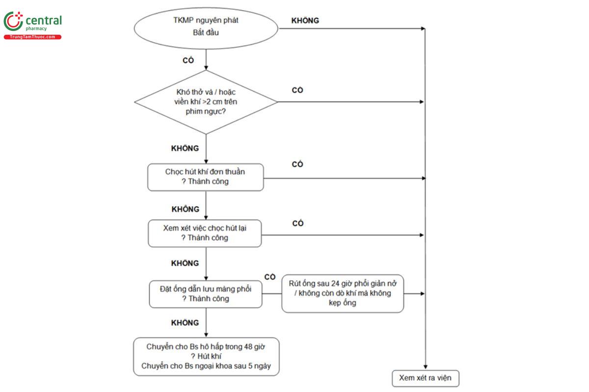 Hình 1. Sơ đồ khuyến cáo trong xử trí TKMP nguyên phát