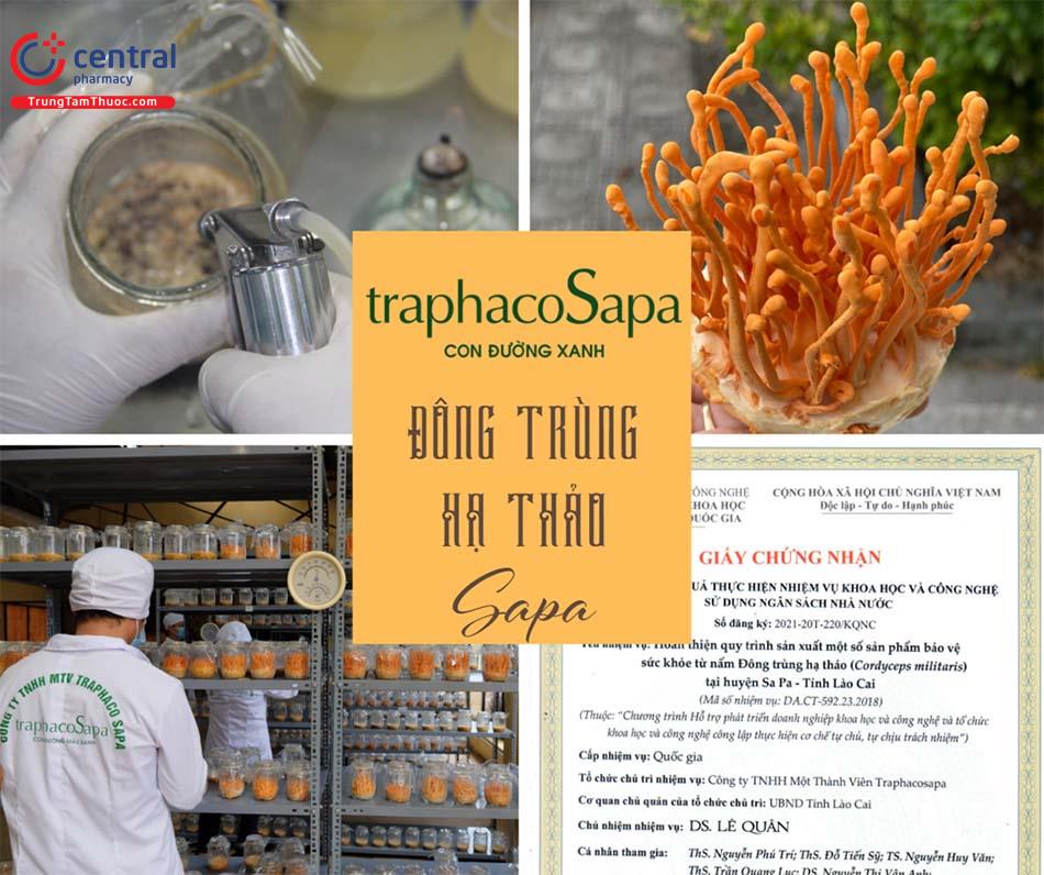 Đông Trùng Hạ Thảo là sản phẩm tiêu biểu của TraphacoSapa