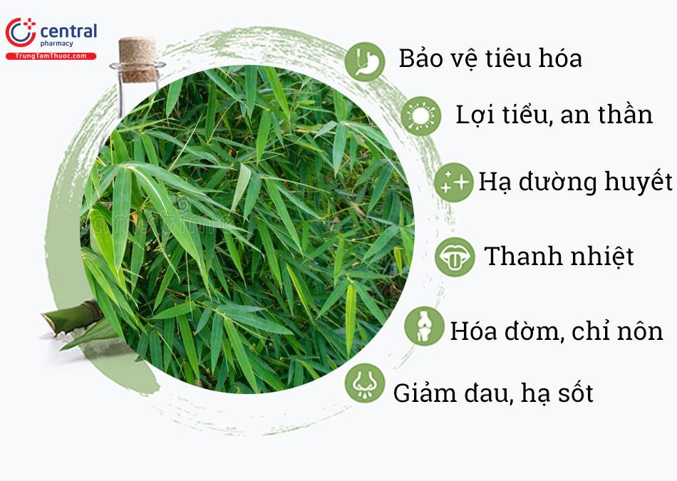 Tác dụng của cây Tre