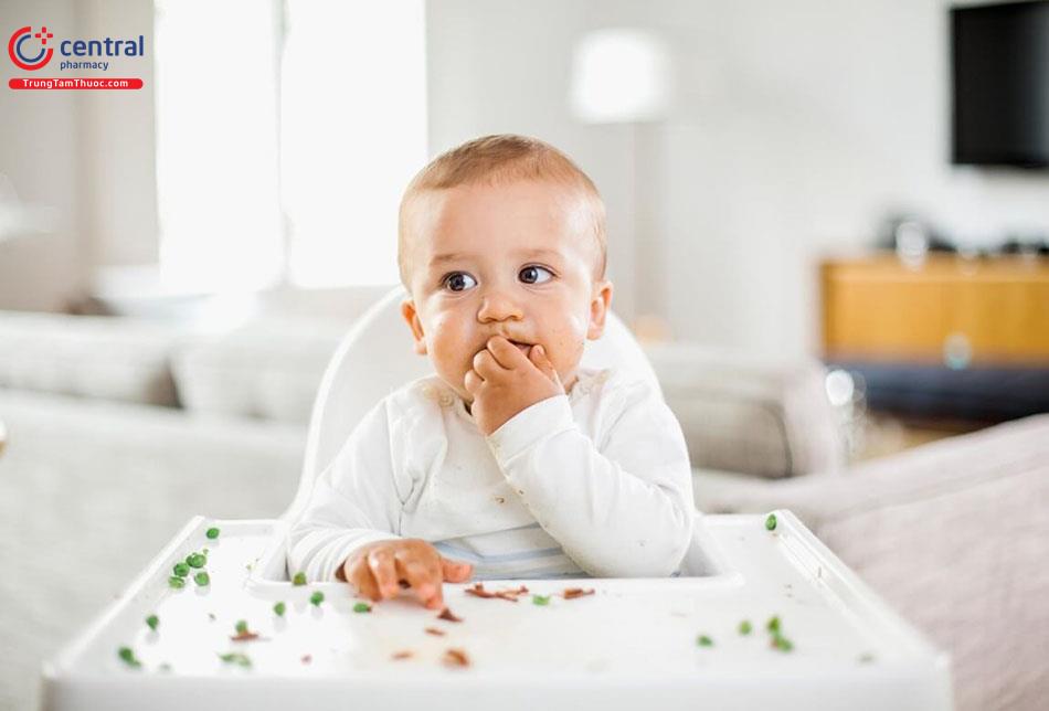 Trẻ em ăn thực phẩm chứa gluten lần đầu.