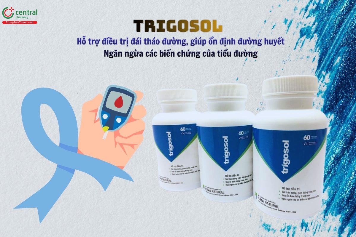 Trigosol - Ổn định đường huyết, hỗ trợ điều trị tiểu đường
