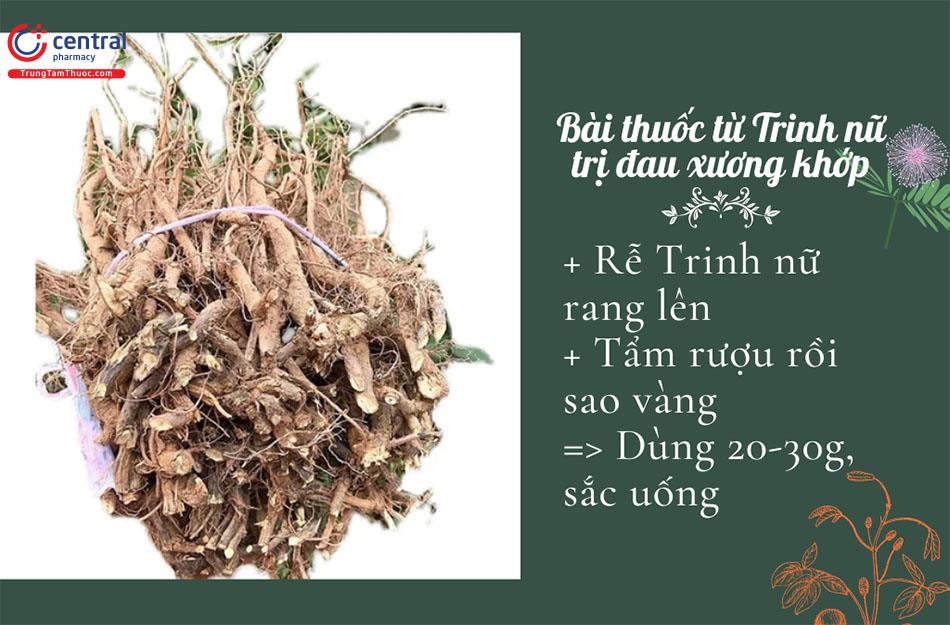 Bài thuốc trị đau nhức xương khớp từ Trinh nữ