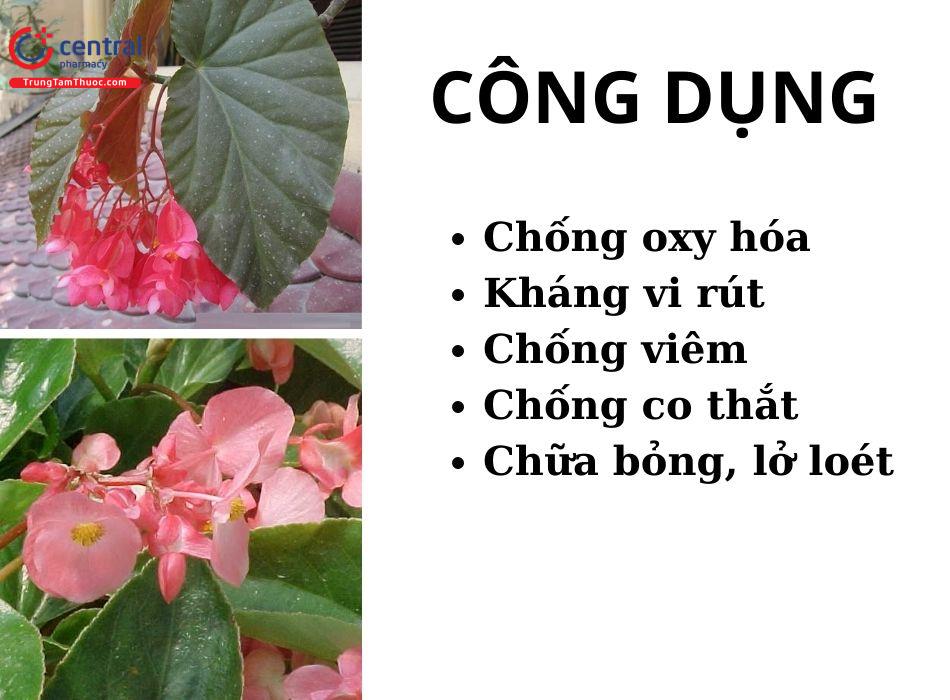 Công dụng