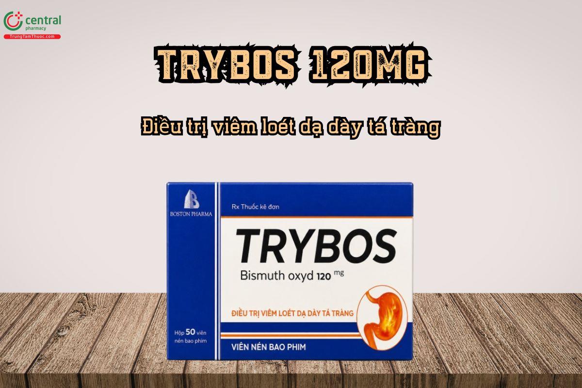 Điều trị viêm loét dạ dày tá tràng bằng thuốc Trybos 120mg