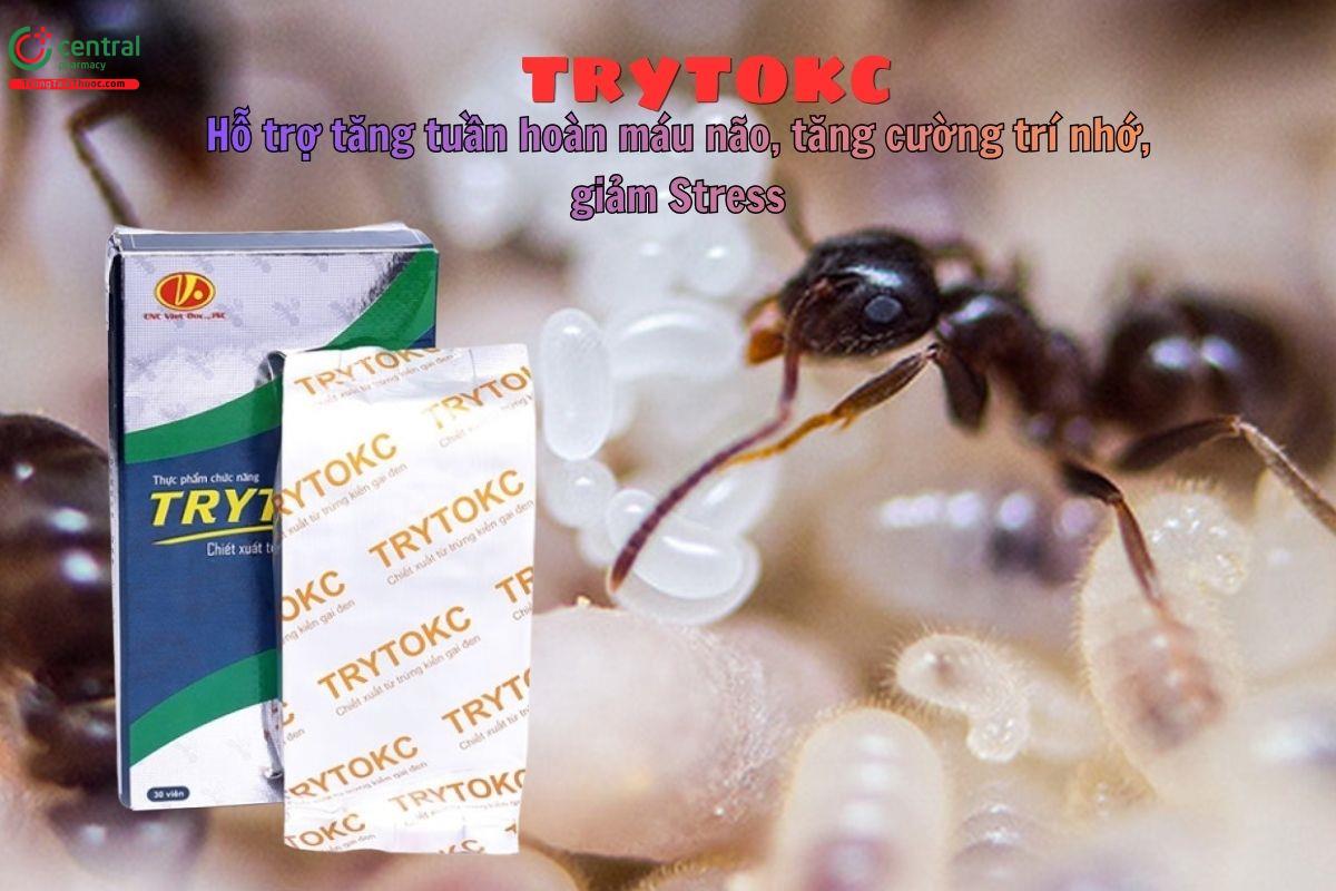 Trytokc giúp tăng tuần hoàn não, tăng cường trí nhớ, giảm stress