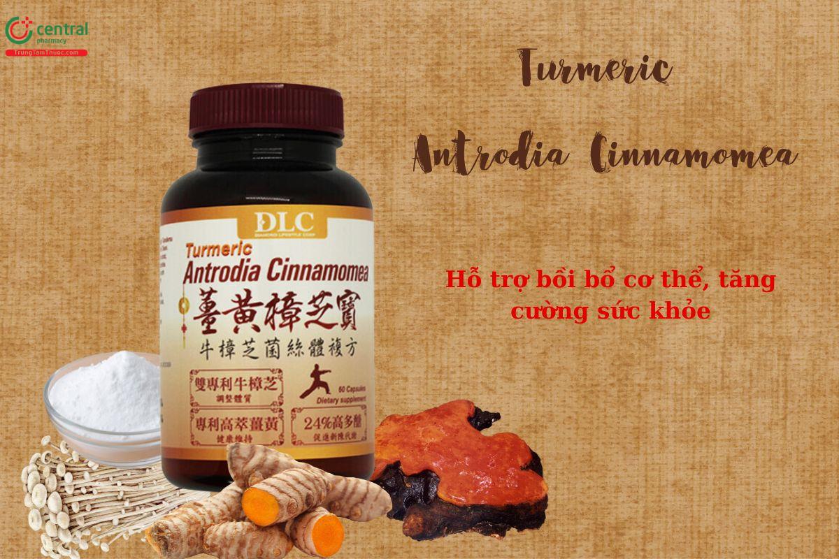 Turmeric Antrodia Cinnamomea - Hỗ trợ bổi bổ cơ thể, tăng cường sức khỏe