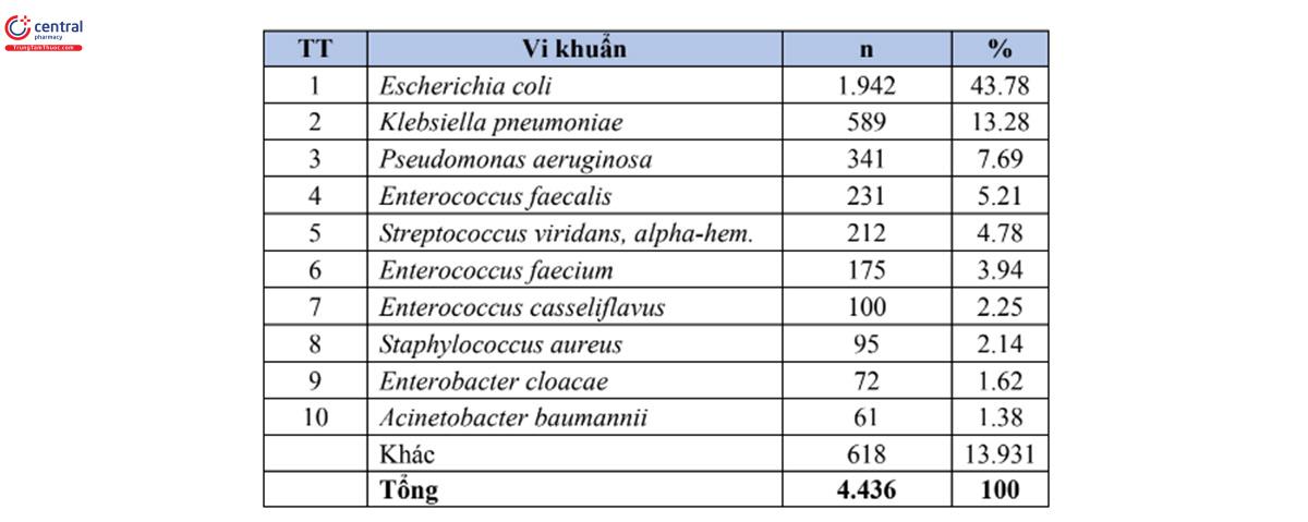 Bảng 9. Tỷ lệ % của 10 loài vi khuẩn gây bệnh thường gặp nhất trong bệnh phẩm dịch ổ bụng (n=4.436)
