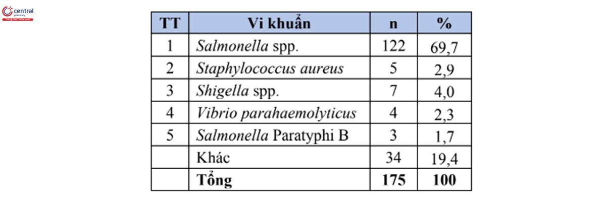 Bảng 11. Tỷ lệ % của 5 loài vi khuẩn gây bệnh thường gặp nhất trong bệnh phẩm phân (n=175) 