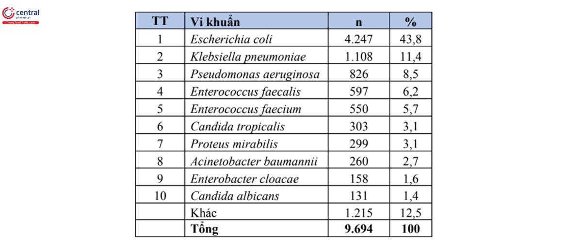 Bảng 7. Tỷ lệ % của 10 loài vi sinh vật gây bệnh thường gặp nhất trong bệnh phẩm nước tiểu (n=9.694)