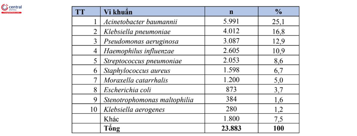 Bảng 6. Tỷ lệ % của 10 loài vi khuẩn gây bệnh thường gặp nhất trong bệnh phẩm đường hô hấp dưới (n=23.883)