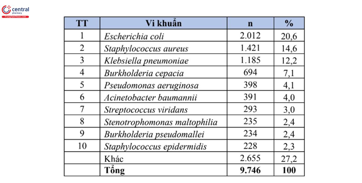 Bảng 5. Tỷ lệ % của 10 loài vi khuẩn gây bệnh thường gặp nhất trong bệnh phẩm máu (n=9.746)