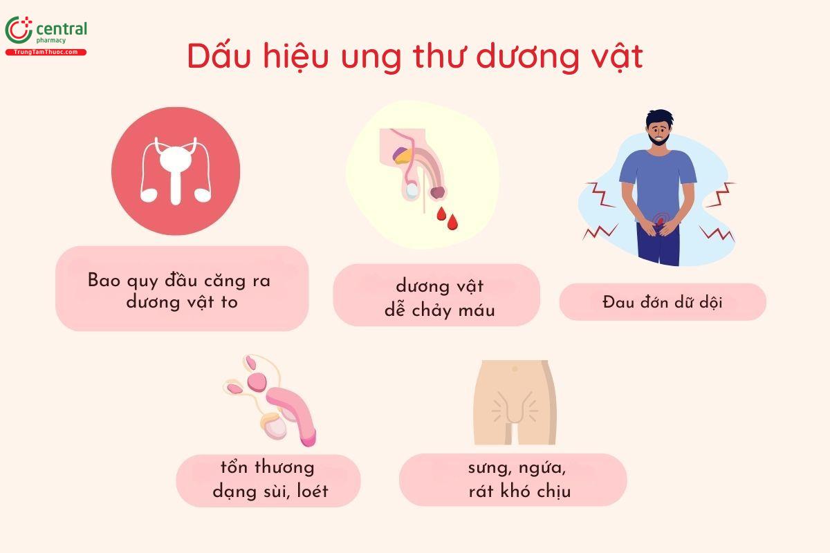 Triệu chứng ung thư dương vật 