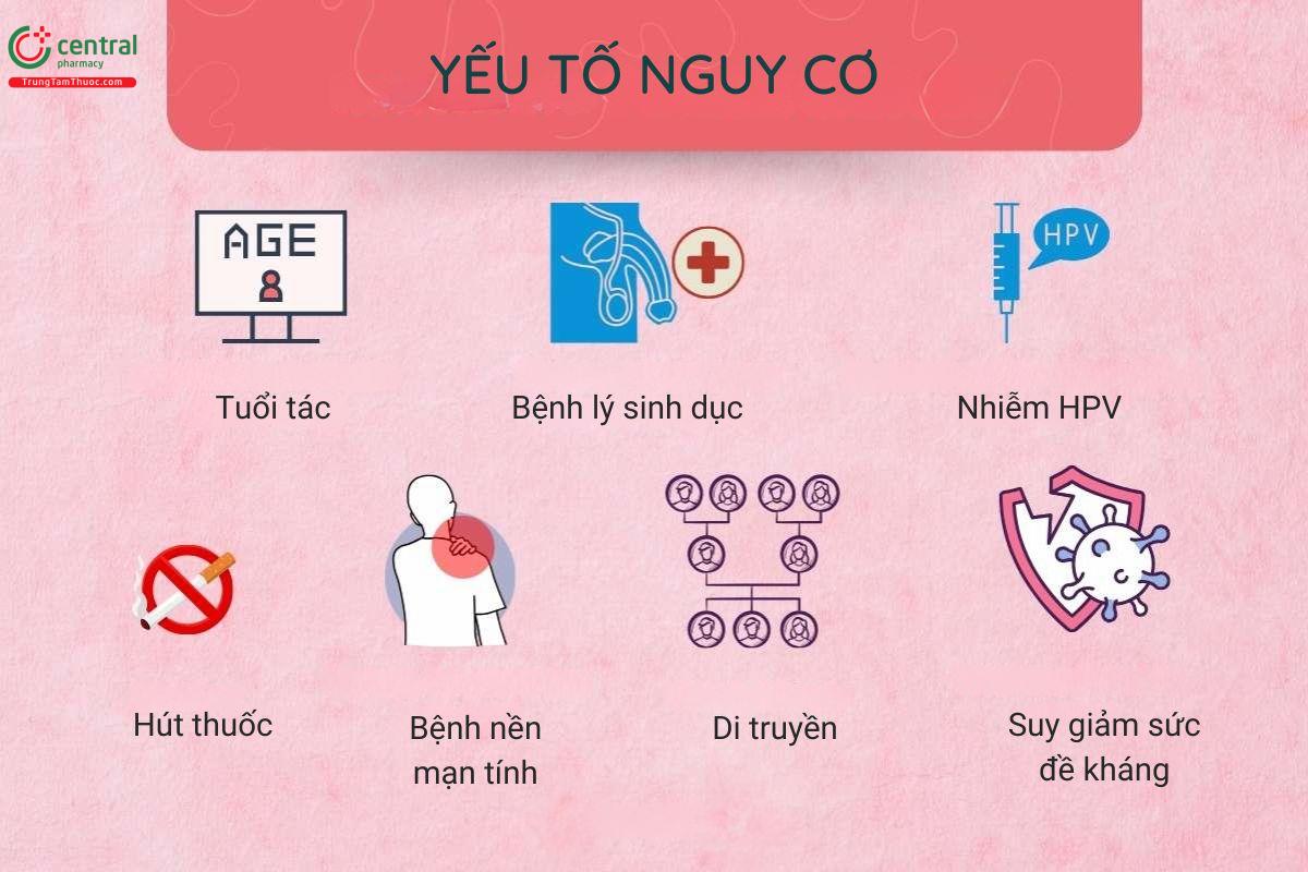 Nguyên nhân ung thư dương vật 