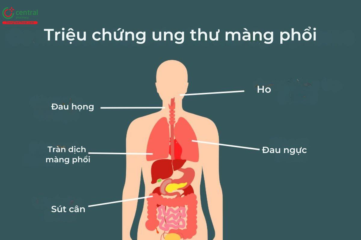 Triệu chứng ung thư màng phổi