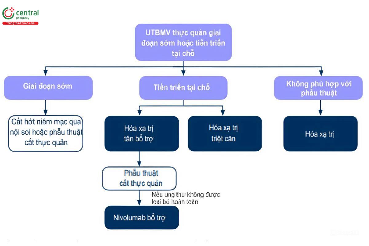 Phác đồ điều trị ung thư thực quản giai đoạn sớm theo ESMO