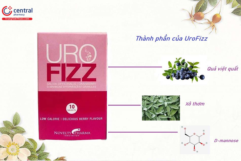 Hình 1: Thành phần của UroFizz