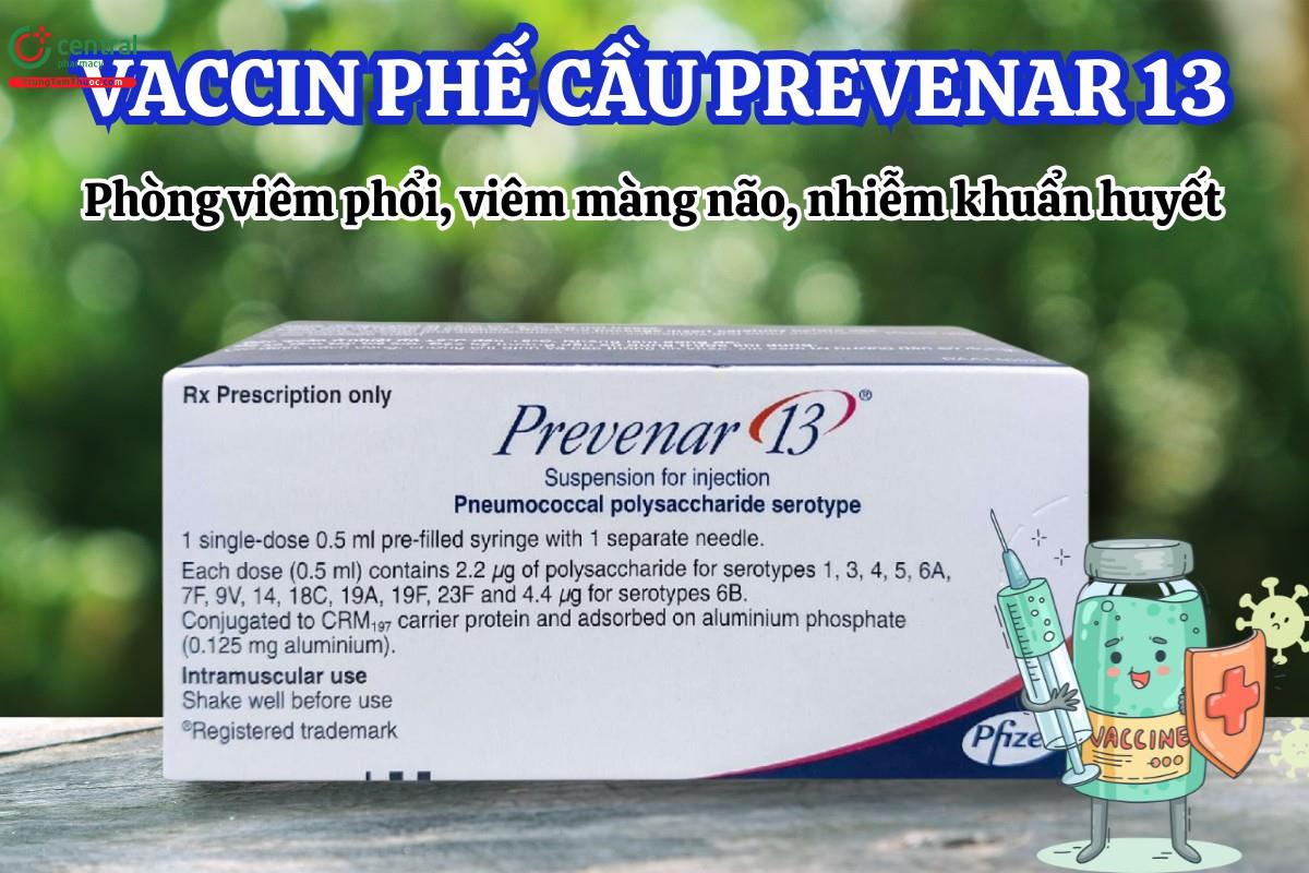 Vaccine Prevenar 13 của nước nào? Prevenar 13 tiêm mấy mũi?