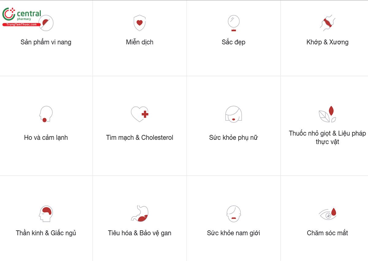 Lĩnh vực hoạt động