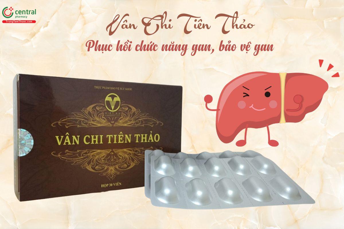 Vân Chi Tiên Thảo bảo vệ gan, hỗ trợ tăng cường chức năng gan