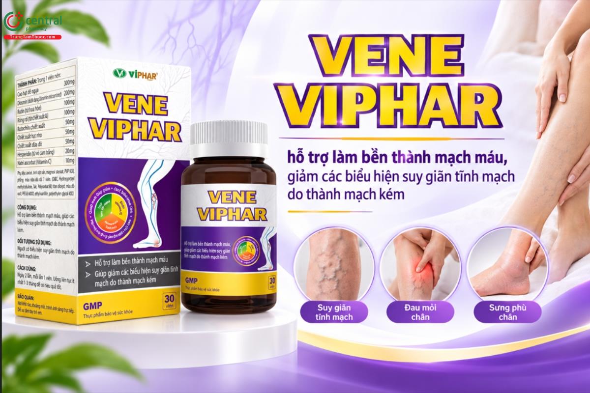 VENE VIPHAR hỗ trợ làm bền thành mạch máu, giảm các biểu hiện suy giãn tĩnh mạch do thành mạch kém