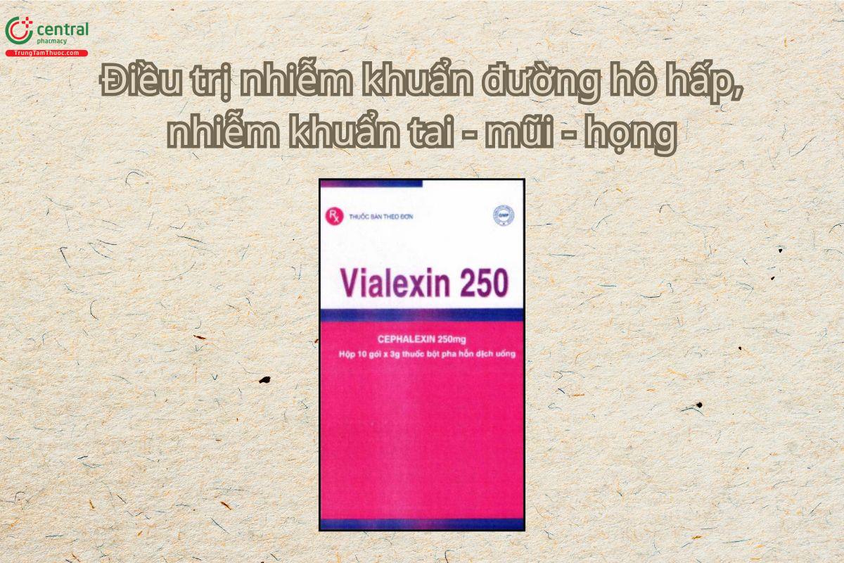 Thuốc Vialexin 250mg điều trị nhiễm khuẩn tai – mũi – họng, hô hấp
