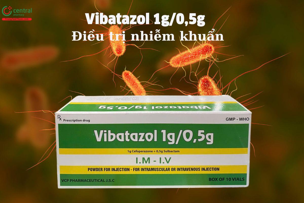 Thuốc tiêm Vibatazol 1g/0,5g - Điều trị các bệnh nhiễm khuẩn