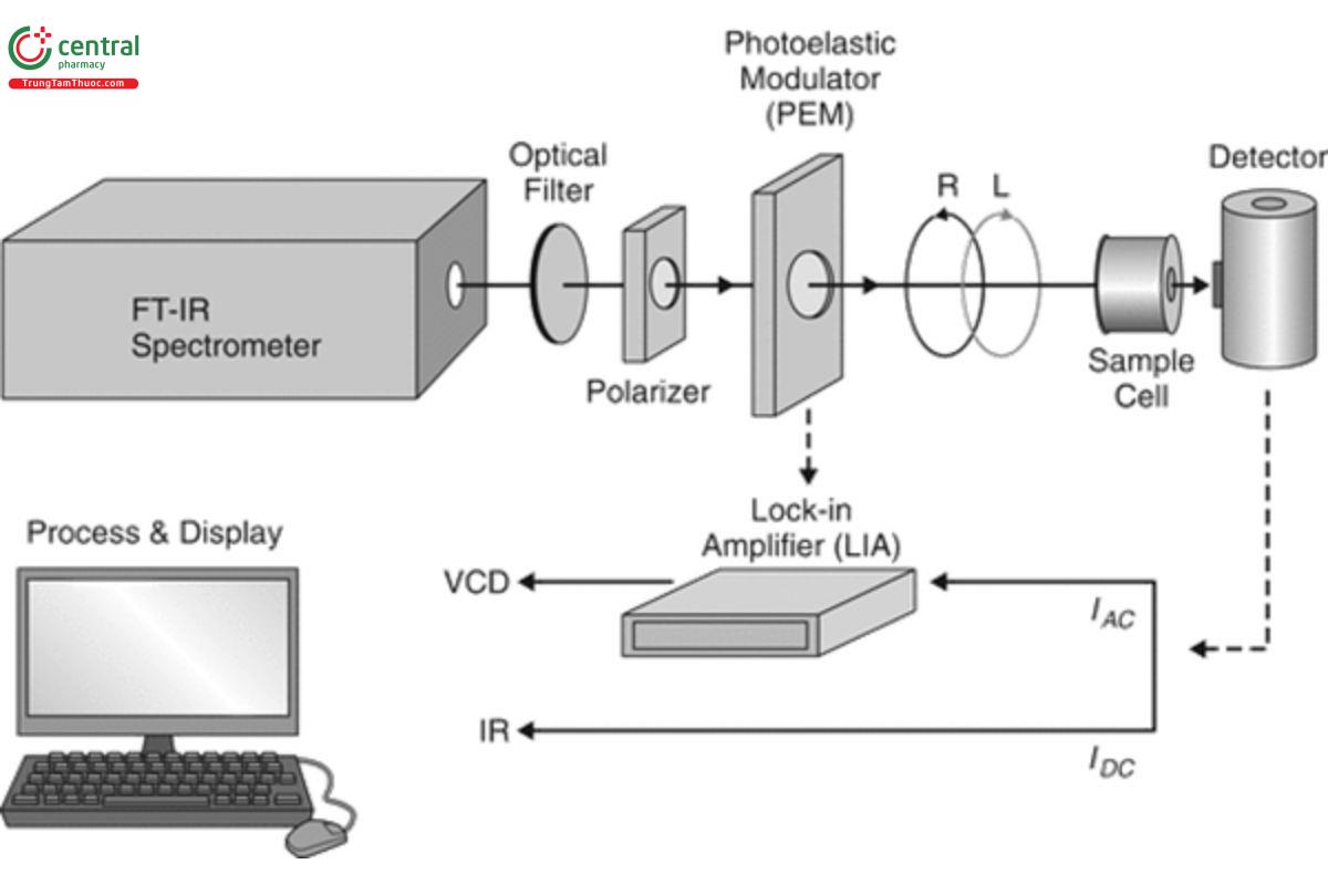 Figure 1. Diagram illustrating the typical features of an FT-VCD spectrometer for the measurement of the IR and VCD spectra of a chiral sample.