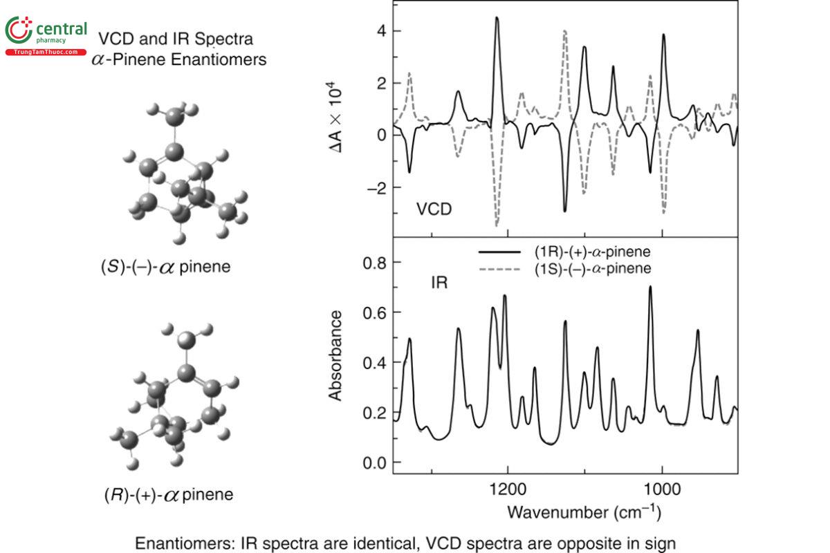 Figure 2. IR (lower) and VCD (upper) of (1S)-(−)-α-pinene (dash) and (1R)-(+)-α-pinene (solid). To the left are presented the quantum chemistry-optimized stereostructures of (1S)-(−)-α-pinene (upper) and (1R)-(+)-α-pinene (lower). The IR and VCD spectra were measured at 4 cm−1 spectral resolution, and the VCD spectra were averaged for 1 h.