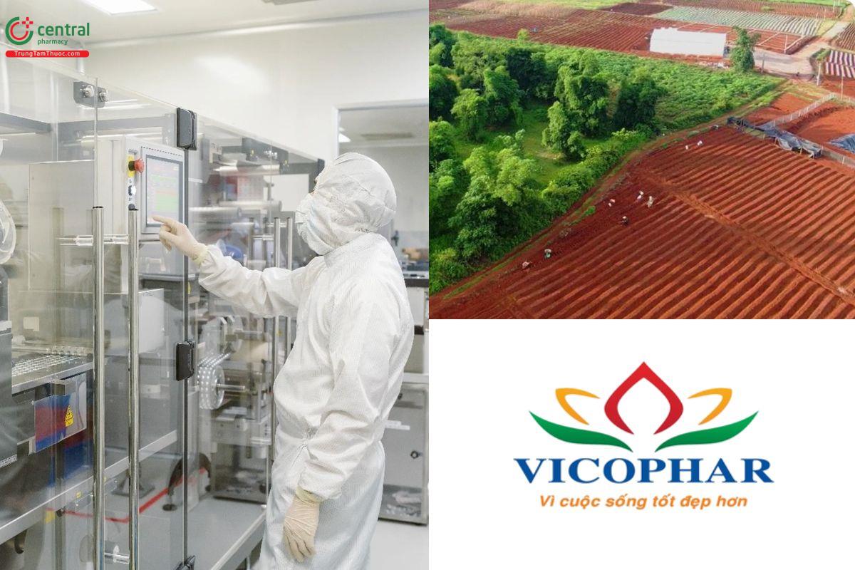 Vicophar - kết hợp tinh hoa bài truyền thống với công nghệ hiện đại 
