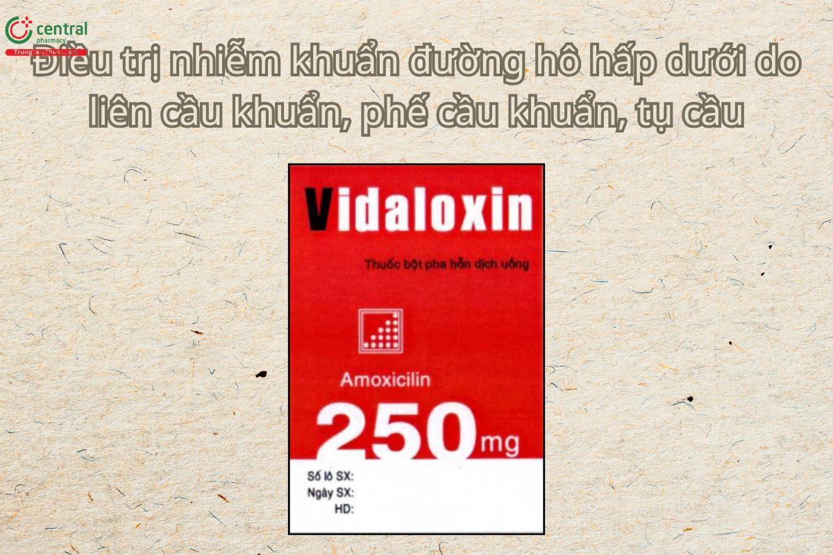 Thuốc Vidaloxin 250mg/1,5g điều trị nhiễm khuẩn tiết niệu không biến chứng