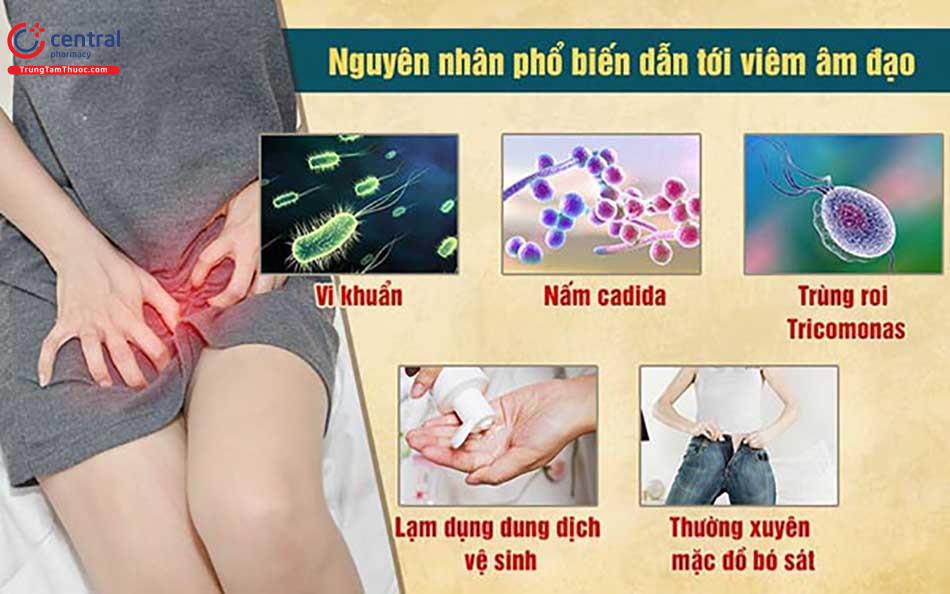 Một số nguyên nhân gây viêm âm đạo