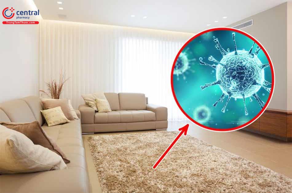 Không gian kín trong nhà cũng chứa nhiều vi sinh vật gây hại