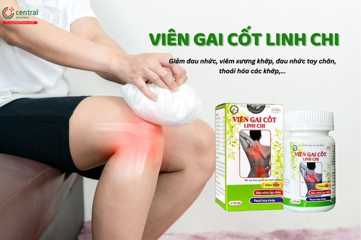 Gai Cốt Linh Chi giảm đau nhứ, tê bì chân tay, đau do viêm xương khớp